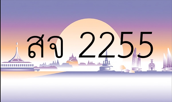 สจ 2255